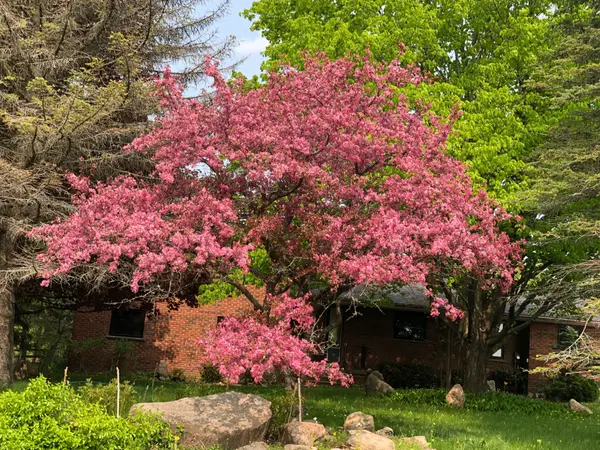 9 Mill View CT, Caledon, ON L7K 2N4