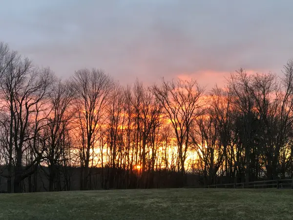 9 Mill View CT, Caledon, ON L7K 2N4