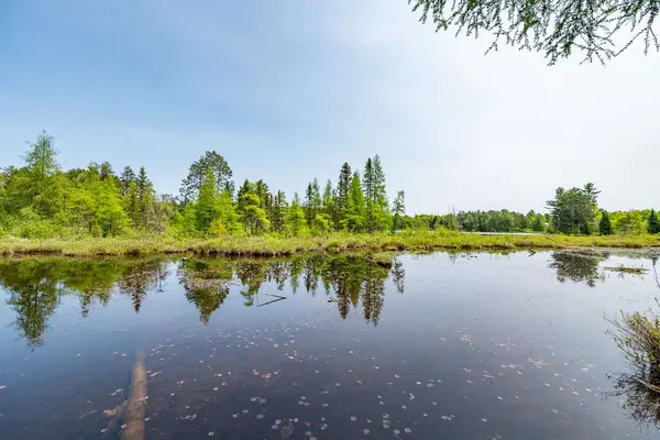 188 Paugh Lake RD, Madawaska Valley, ON K0J 1B0