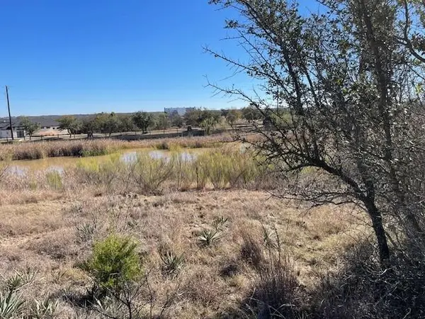 TBD Willie B Drive Willie B Drive, Brownwood, TX 76801