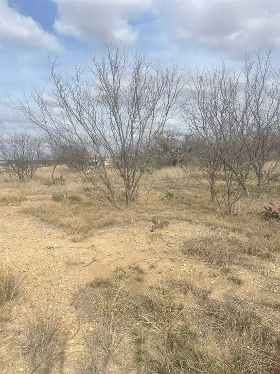 TBD County Road 221, Brookesmith, TX 76827