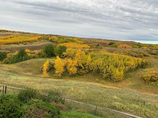 356 Macewan Park VW NW, Calgary, AB T3K4G6