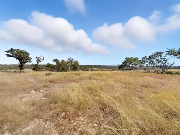 TBD FM 2414 - Tract 4, Evant, TX 76526