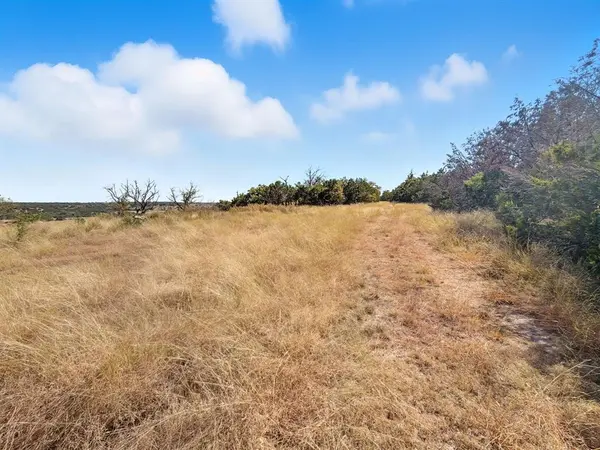 TBD FM 2414 - Tract 4, Evant, TX 76526