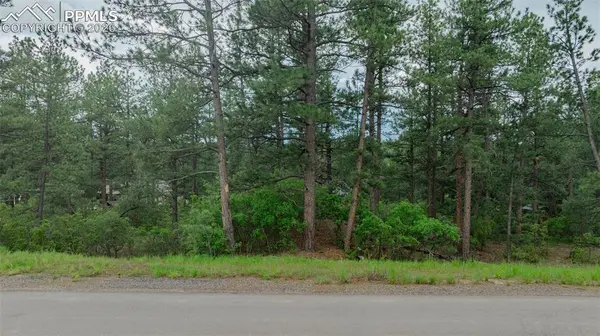 648 Copper Fox PL, Larkspur, CO 80118