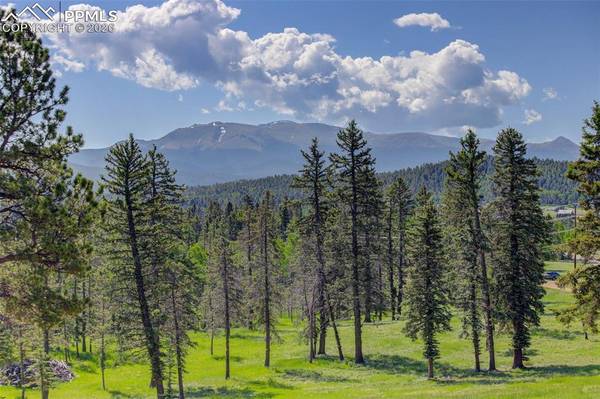 4797 County Road 42, Divide, CO 80814