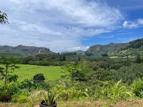 189 EGGERKING RD, Kapaa, HI 96746