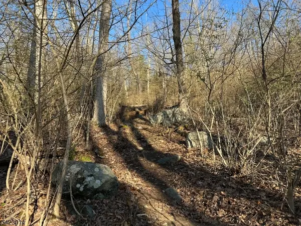 43 Hemlock Ave, Andover Twp., NJ 07860