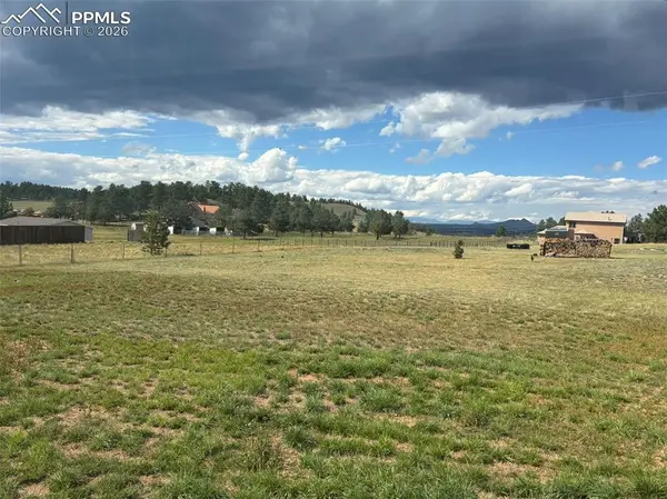 489 Due South RD, Florissant, CO 80816