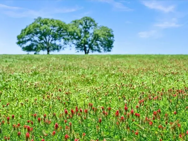 1747 Desvoignes Road, Denison, TX 75021