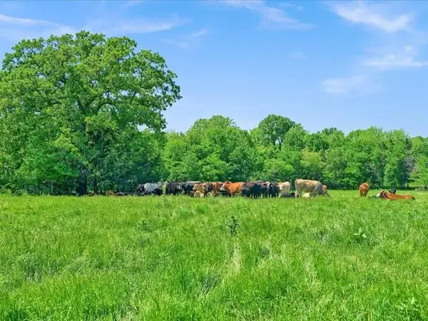 1747 Desvoignes Road, Denison, TX 75021