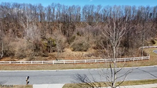 11 Lackawanna Drive, Frelinghuysen Twp., NJ 07860