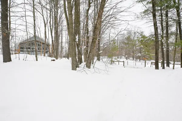 1033 North Shore DR, Gravenhurst, ON P1P 1R1