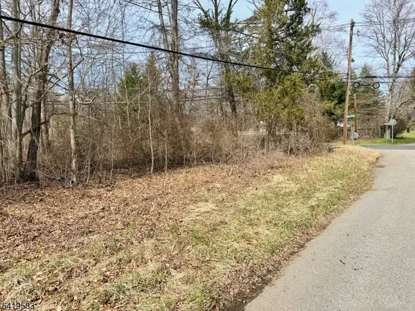 10 Loantaka Ln, Chatham Twp., NJ 07960