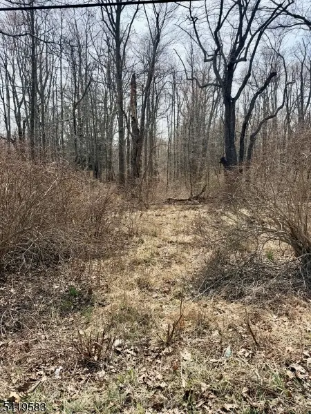 10 Loantaka Ln, Chatham Twp., NJ 07960