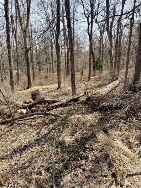 10 Loantaka Ln, Chatham Twp., NJ 07960