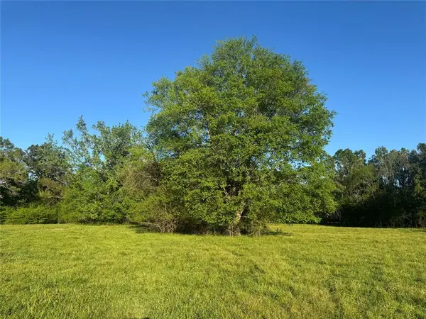 0000 N Hwy 271, Talco, TX 75487