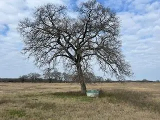 TBD County Road 2404, Kemp, TX 75143