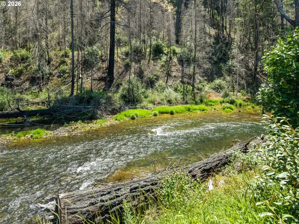 91403 Marbrook LN, Blue River, OR 97413