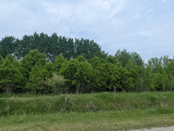 N/A Twining RD, Whitney Twp, MI 48703