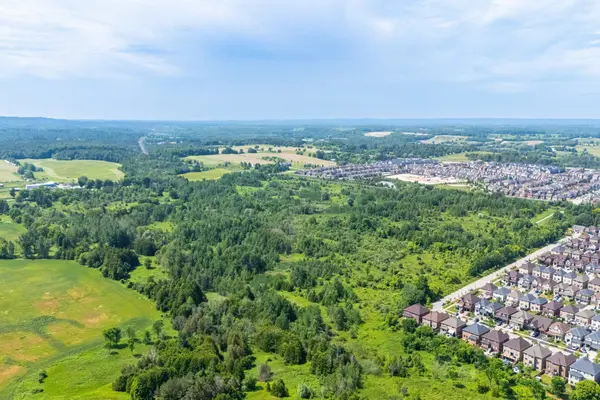 6438 3rd Line, New Tecumseth, ON L0G 1W0