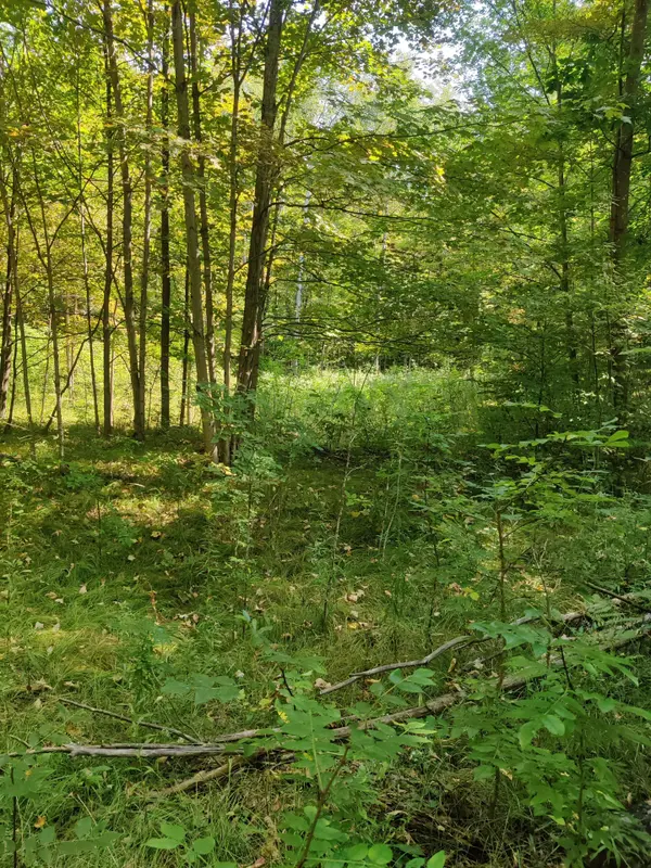 0East1 Road Allowance RD, Havelock-belmont-methuen, ON K0L 1Z0