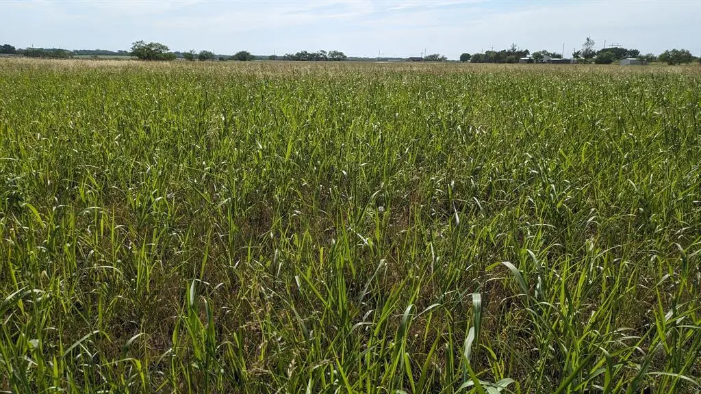 TBD3 CR 223, Clyde, TX 79510