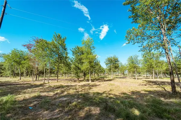 Lot 3 CR 297, Gainesville, TX 76240