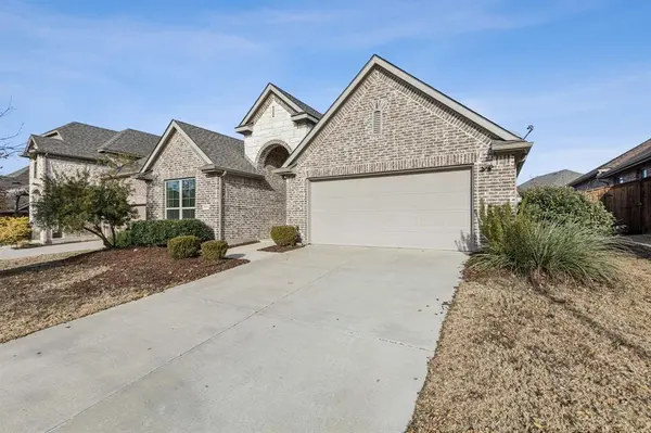 9809 Echo Summit Drive, Little Elm, TX 75068