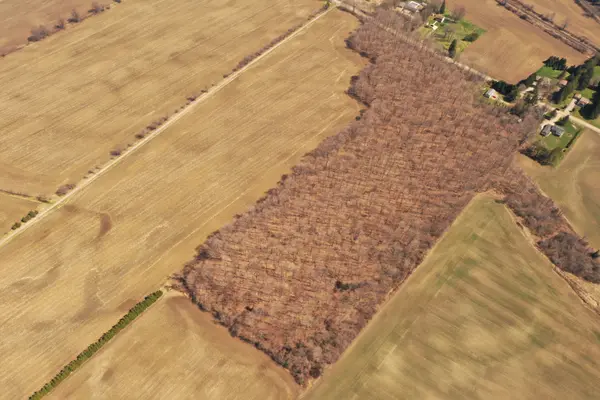 9584 Melrose DR, Middlesex Centre, ON N0L 1R0