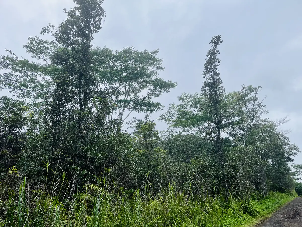 ROAD 10 (POOULI), Kurtistown, HI 96760