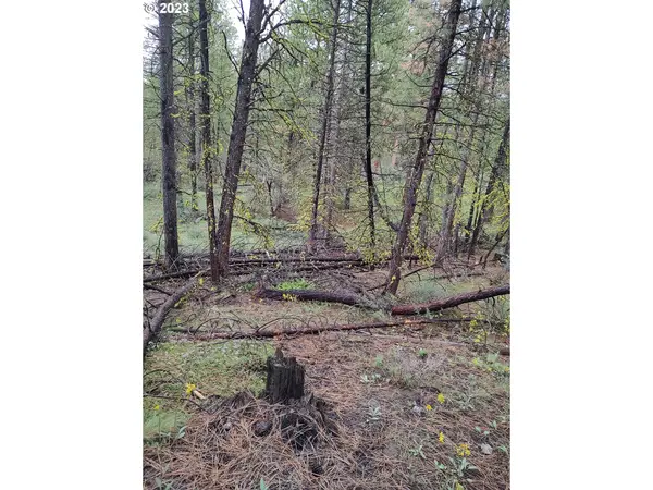 1 Forest Rd 9715, Chiloquin, OR 97624