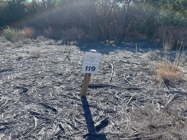 TBD Lot 119 Mesa Vista Drive, Stephenville, TX 76401