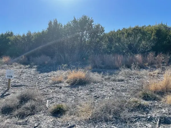 TBD Lot 119 Mesa Vista Drive, Stephenville, TX 76401