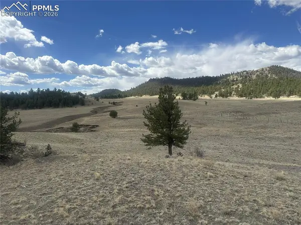 L 15 & 16 Chickadee DR, Hartsel, CO 80449