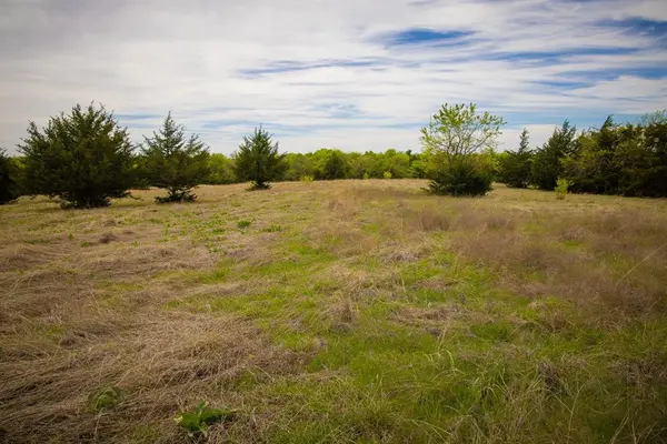 Lot 10 PR 291, Dodd City, TX 75438