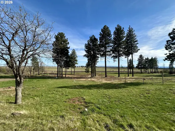 3021 BICKLETON HWY, Bickleton, WA 99322