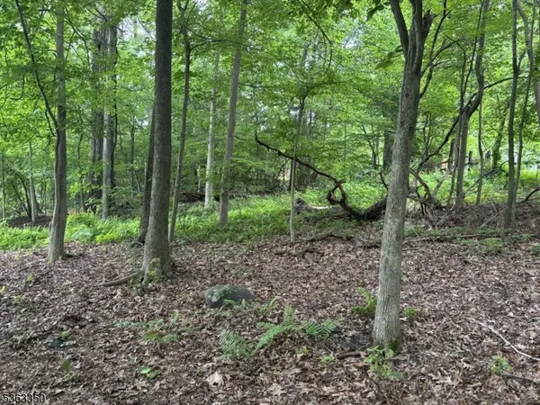 0 Oakwood Ave, West Milford Twp., NJ 07480