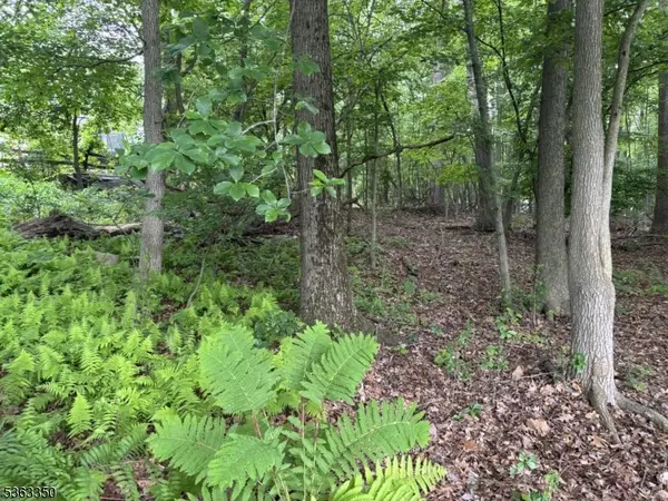 0 Oakwood Ave, West Milford Twp., NJ 07480