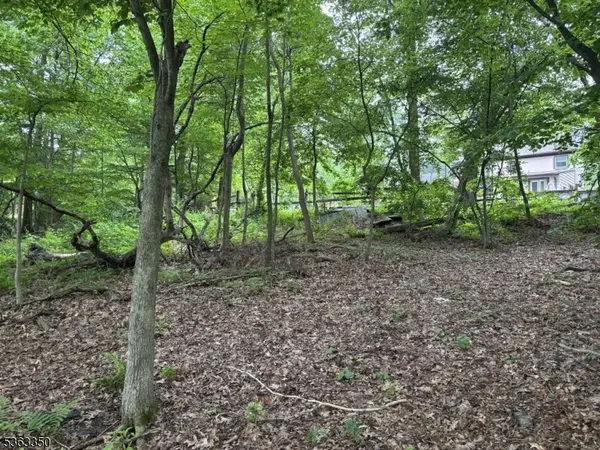 0 Oakwood Ave, West Milford Twp., NJ 07480