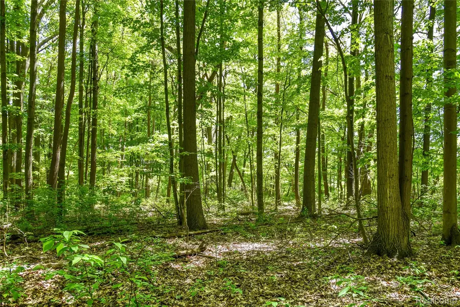 2905 N Lake Pleasant RD, Arcadia Township, MI 48412