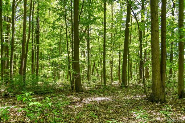 2905 N Lake Pleasant RD, Arcadia Township, MI 48412