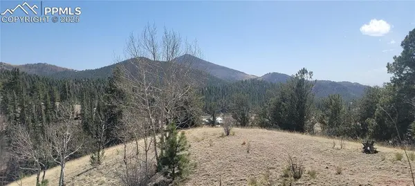 191 Portland DR, Cripple Creek, CO 80813