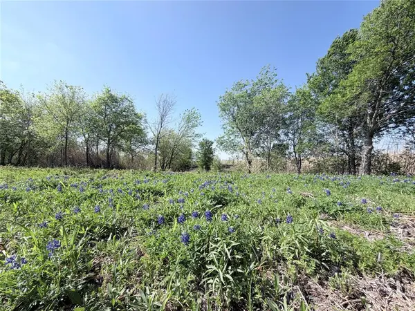 TBD County Road 3204, Abbott, TX 76621