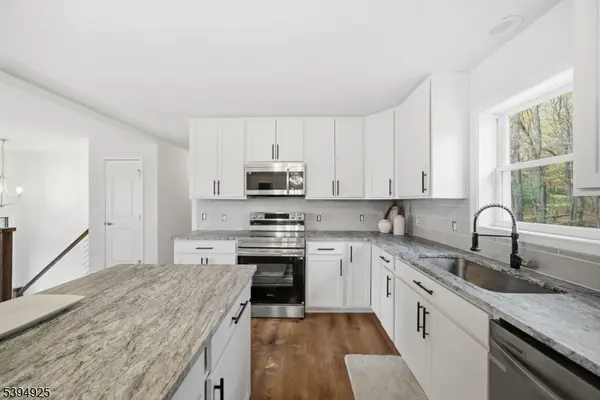 20 Mine Hill Rd, Mount Olive Twp., NJ 07840