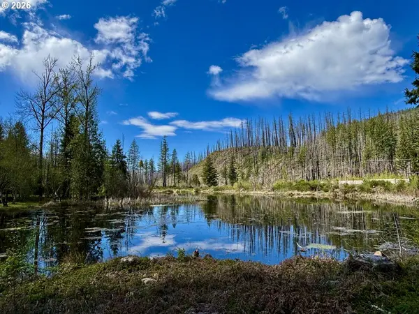 54432 MCKENZIE HWY #41, Blue River, OR 97413