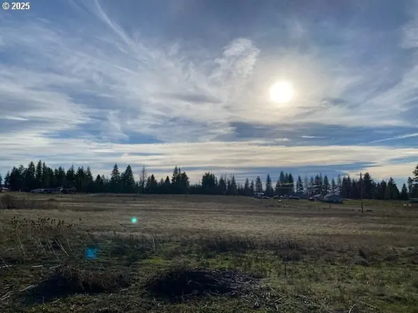 Sara View DR #Lot 3, Goldendale, WA 98620