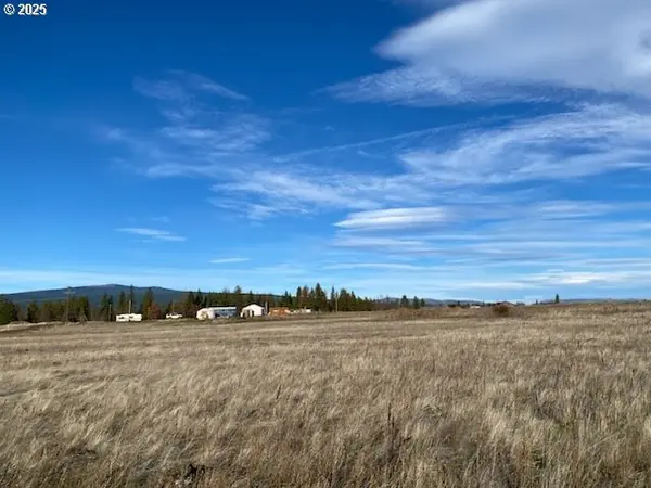 Sara View DR #Lot 3, Goldendale, WA 98620