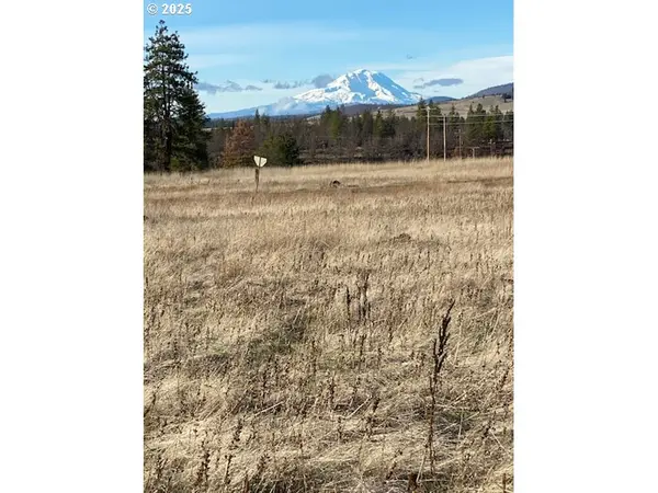 Sara View DR #Lot 3, Goldendale, WA 98620