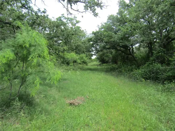 TBD County Road 268, Tract A, Rising Star, TX 76471